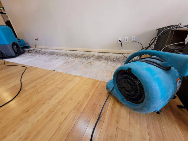 Professional Water Damage Repair technician working in Lower Salem, OH